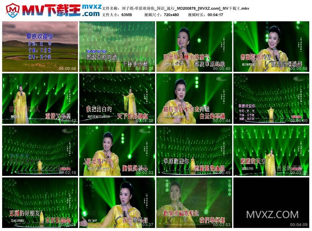 刘子琪-草原欢迎你_国语_流行_MD200878